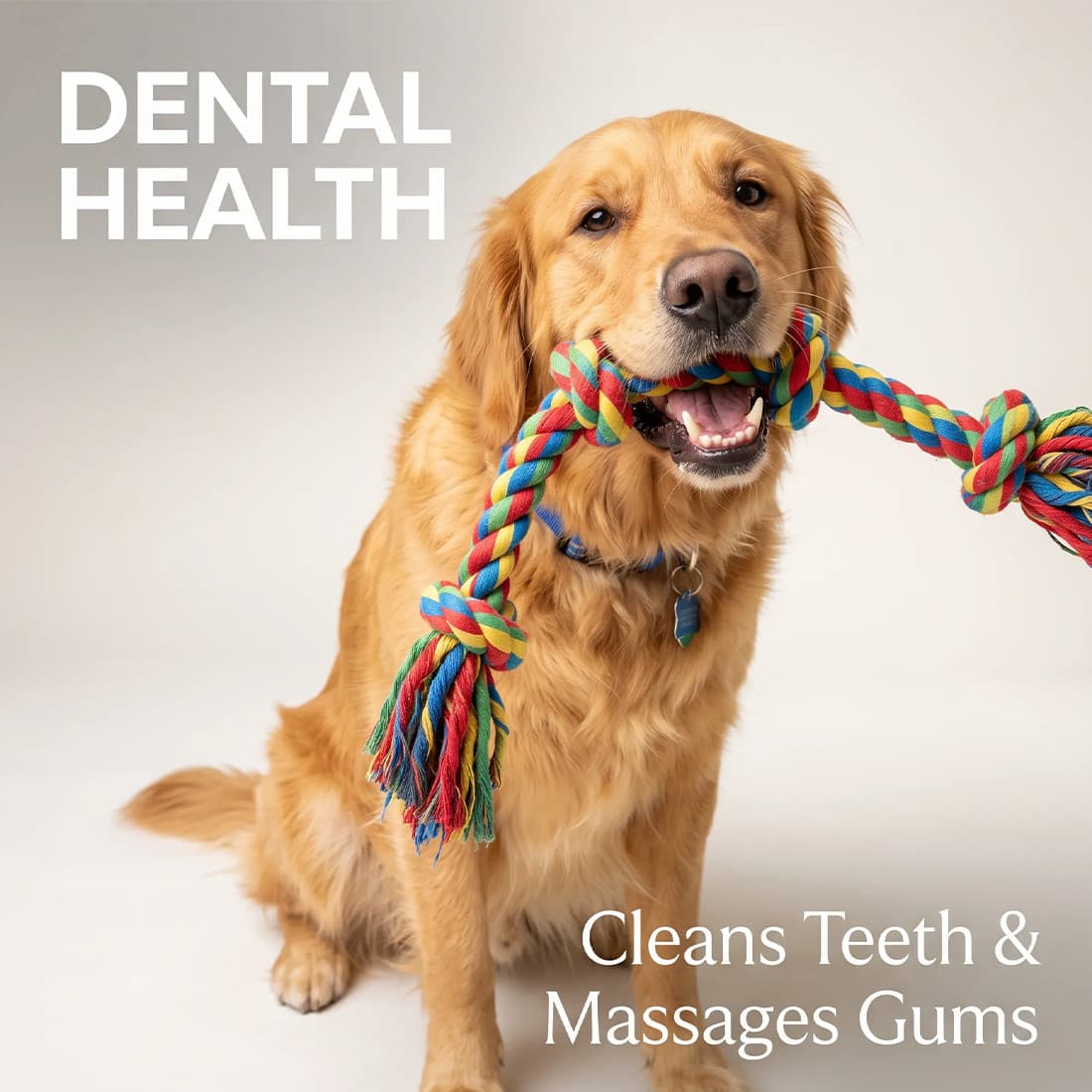 6pc Rainbow Color Dog Rope Toys Set Teeth Cleaning Durable&Long-Lasting Dog Toys