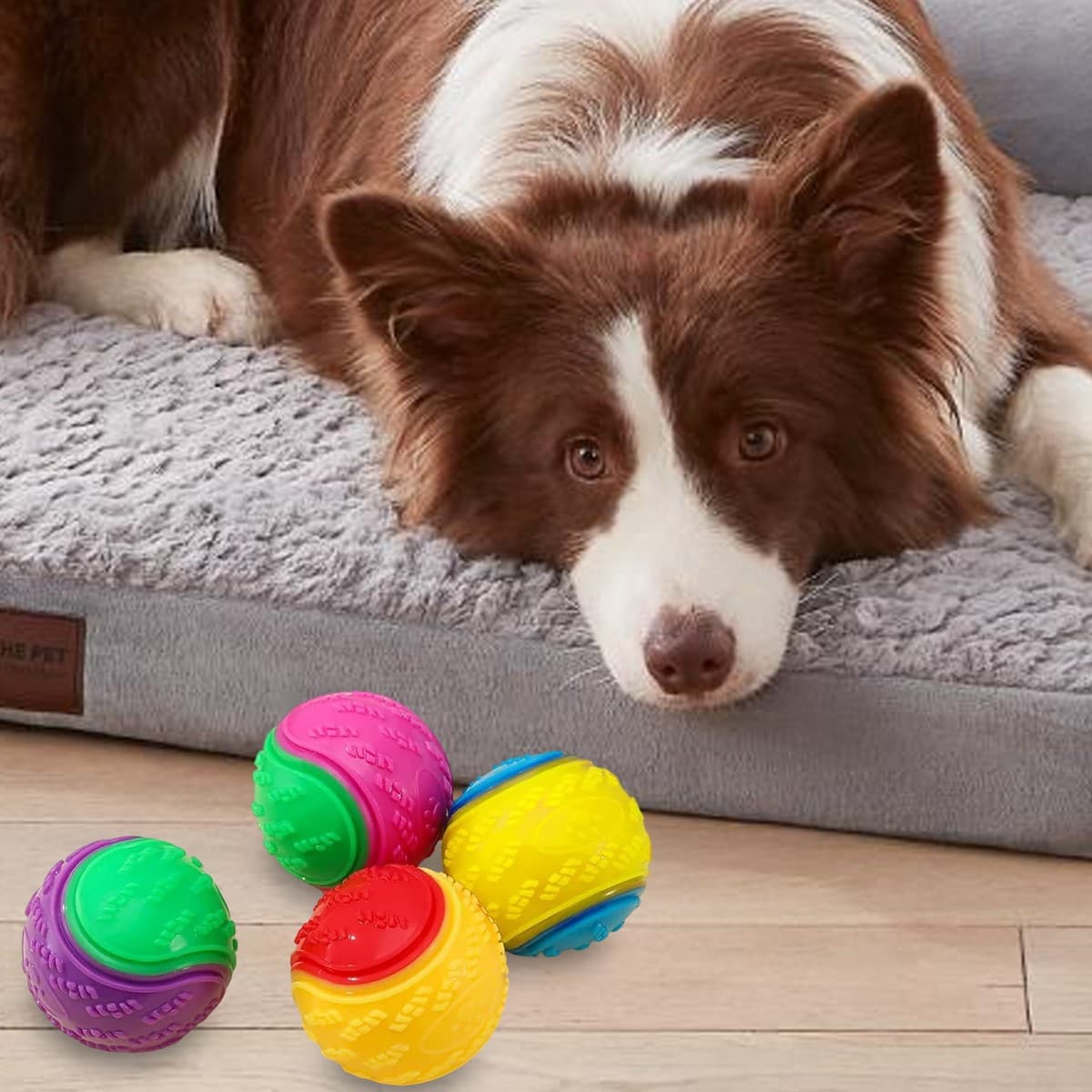 8X Scooby-Doo Durable Squeaky Set Dog Balls For Teeth Cleaning Interactive
