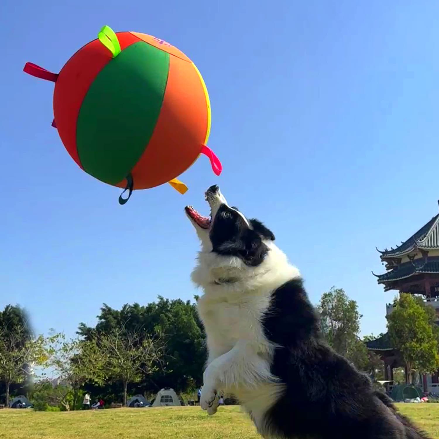 Colorful Inflatable Dog Toy Ball, Self-Play Training Toy For Border Collies & Golden Retrievers.