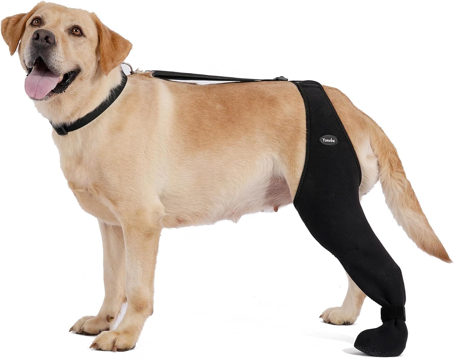 Dog Socks To Prevent Licking Paws , Breathable Leg Sleeve To Stop Licking And Biting,  Firm And Secure Adjustable Size Dog Recovery Sleeve Socks