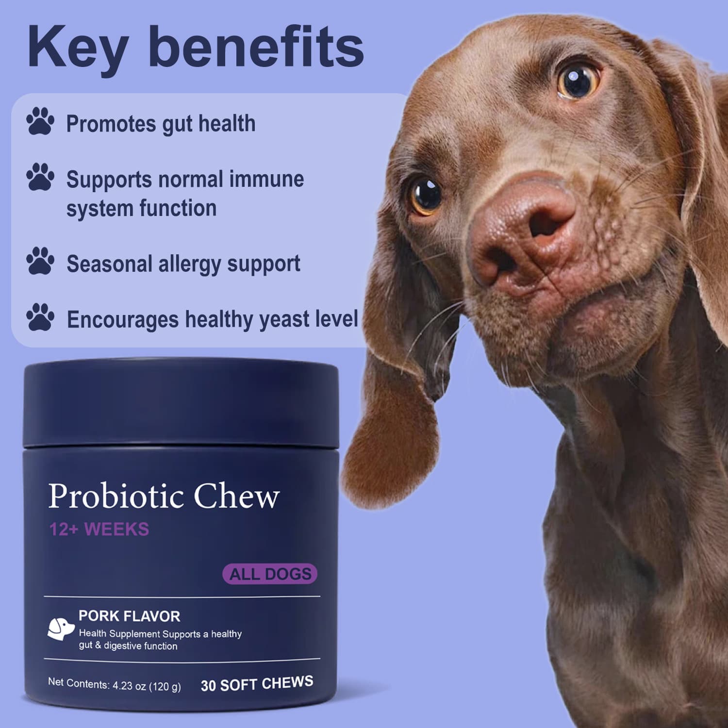 22-in-1 Dog Multivitamin For Skin Joints And Overall Health