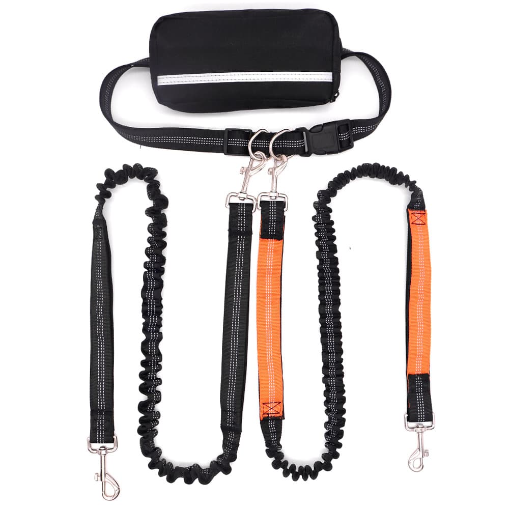 Doubl-headed LeashOne Leash For Two DogsRunning And Walking Dog Leash With Burstresistance