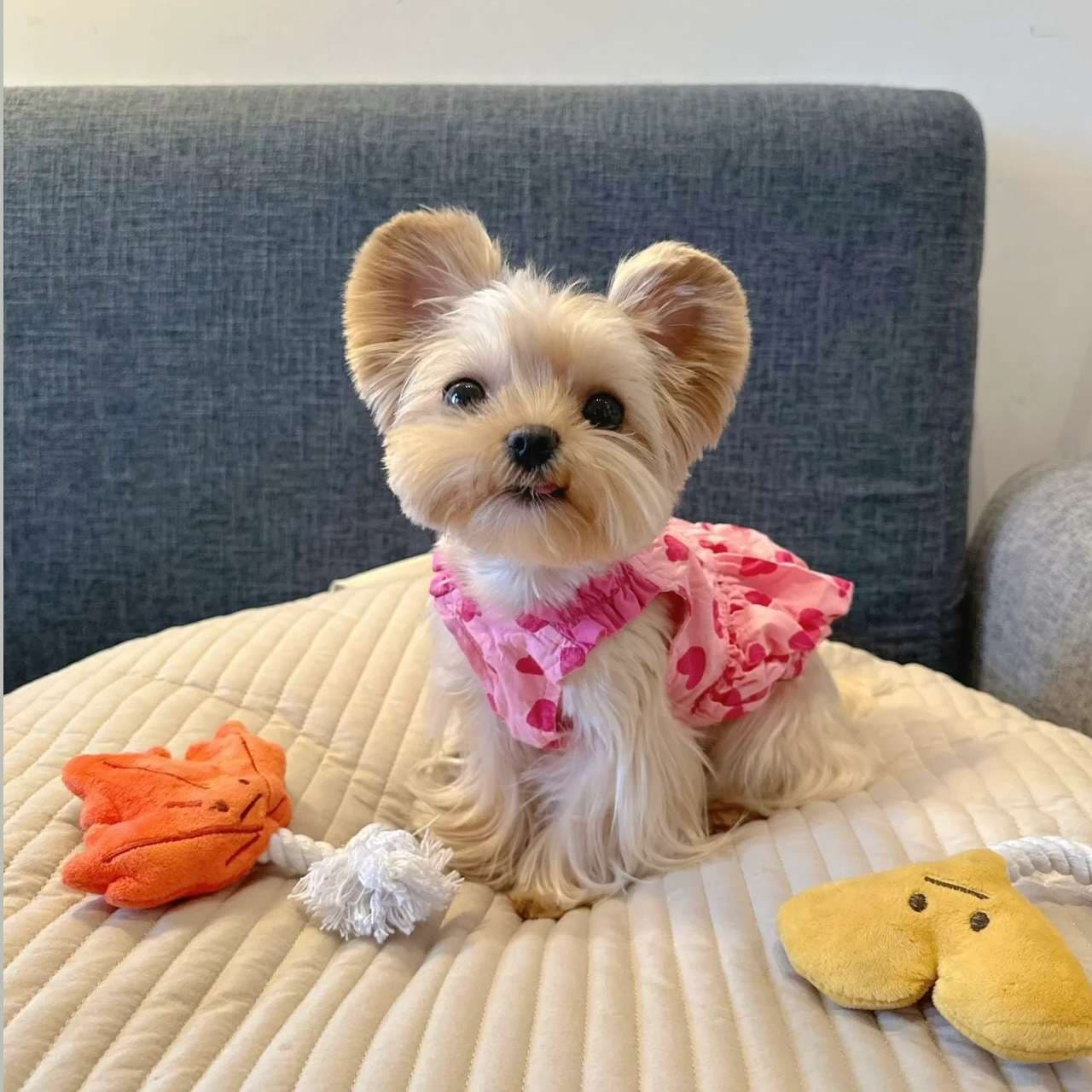 Springsummer Dog Clothes Princess Dress For Pets