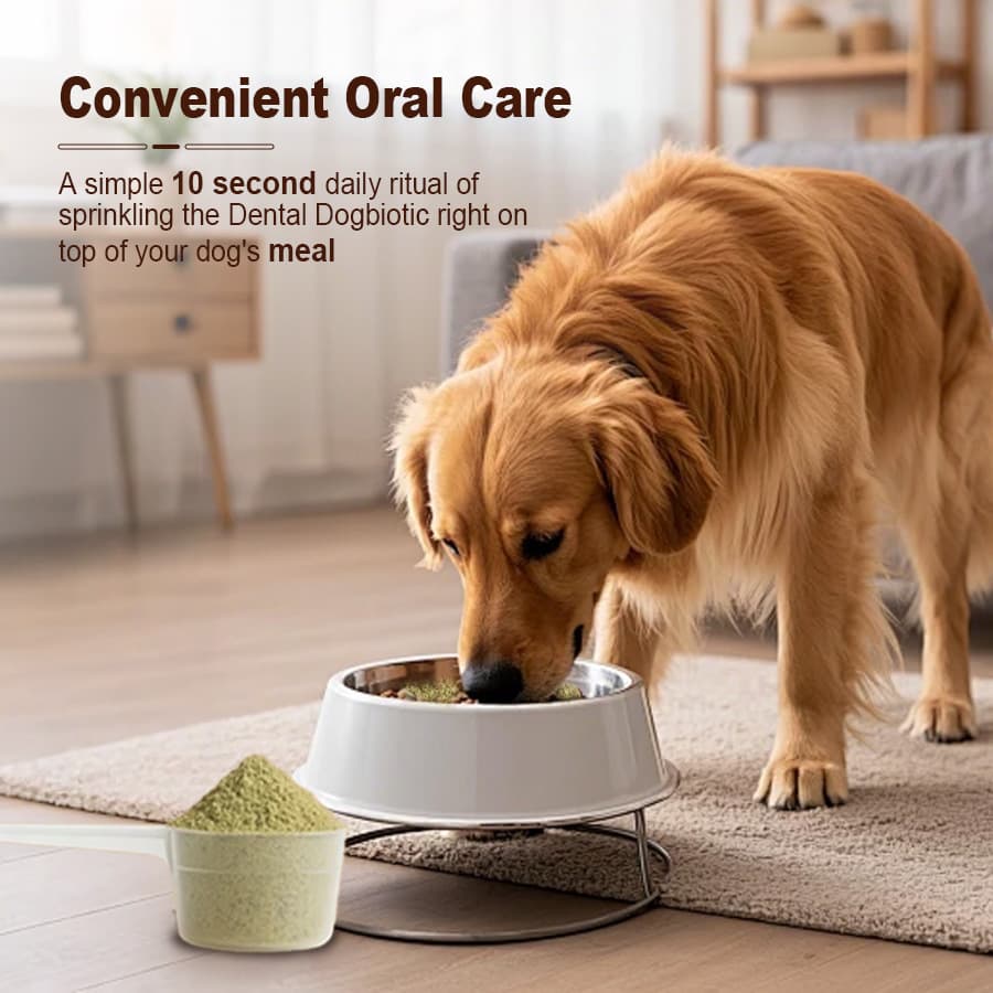 Dog Breath Freshener Pet Dental Oral Care