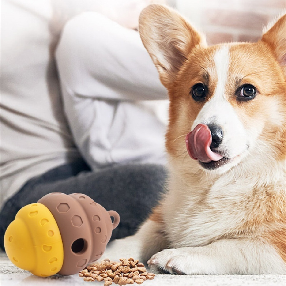 Dog Chew Toy Choke-proof Food Dispenser 2