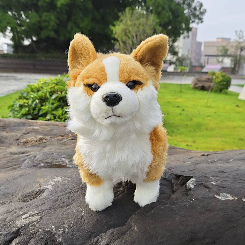 Cute Welsh Short-legged Dog With Plush Toys