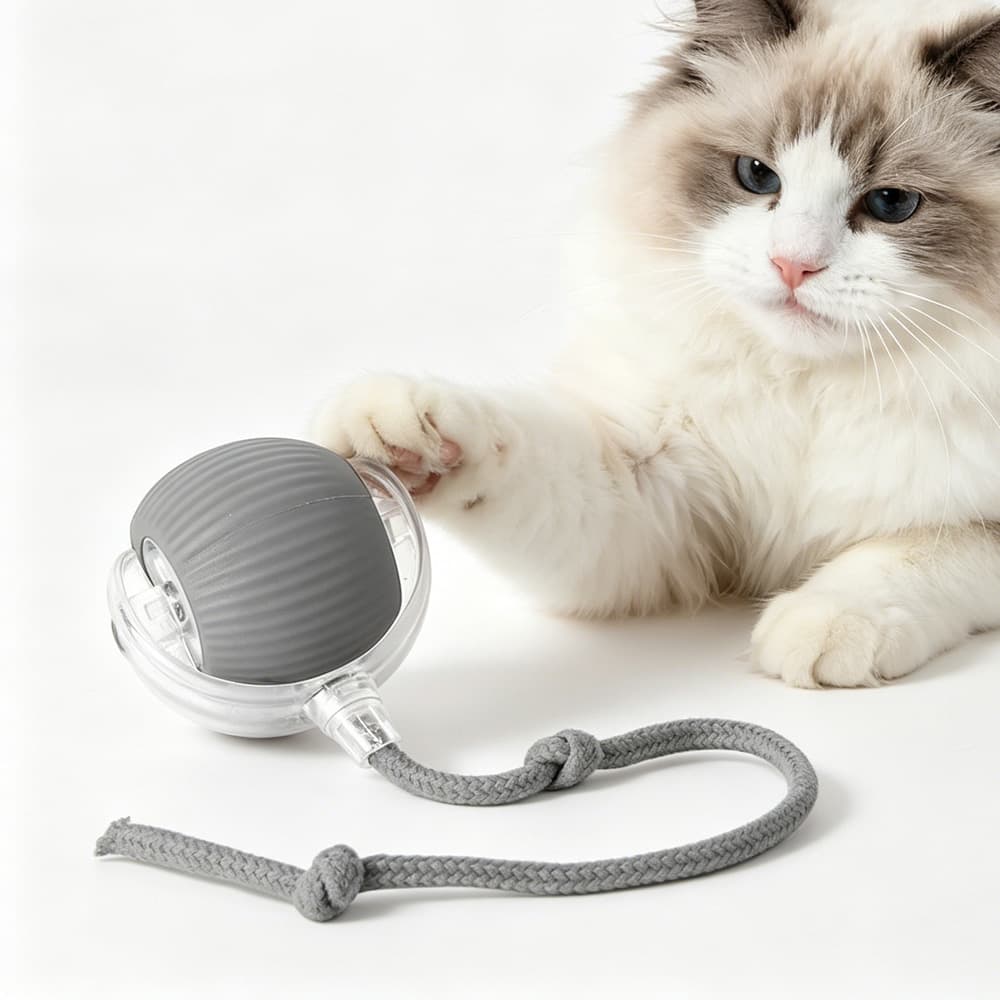 Electric Dog Cat Ball Toy,Indoor Large And Small Cat Dog Interactive Intelligent Rolling Pet Ball