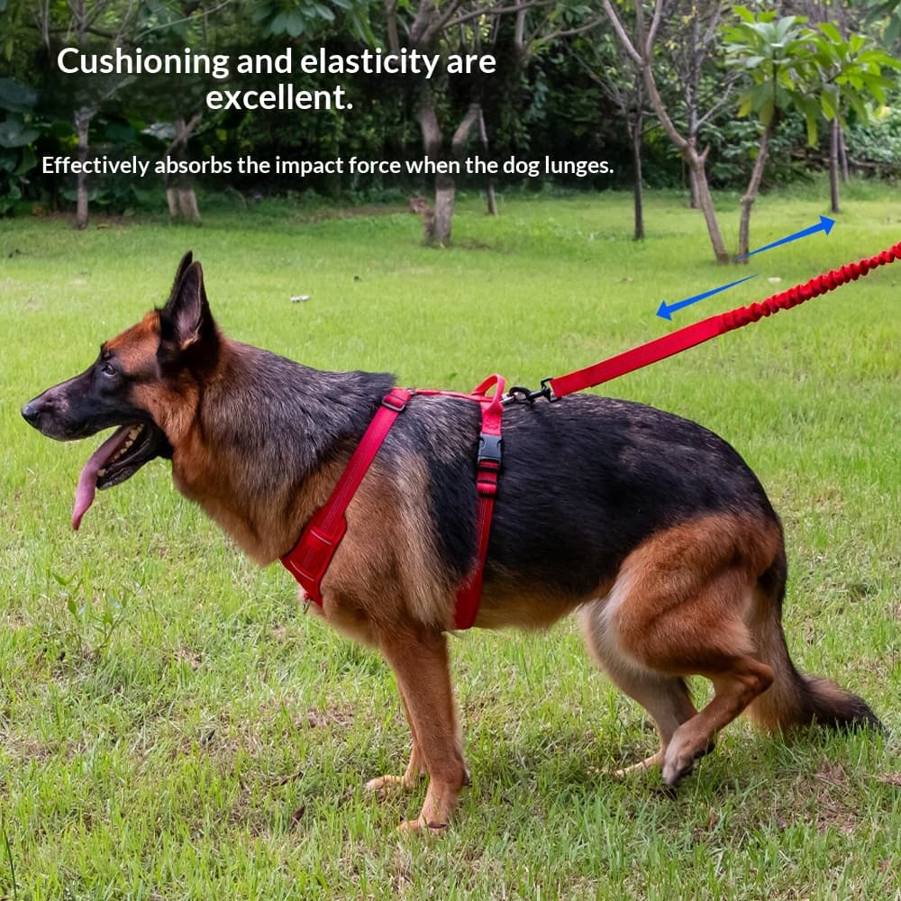 Dog Leash That Doesnt Choke The Handler For Large Dogs