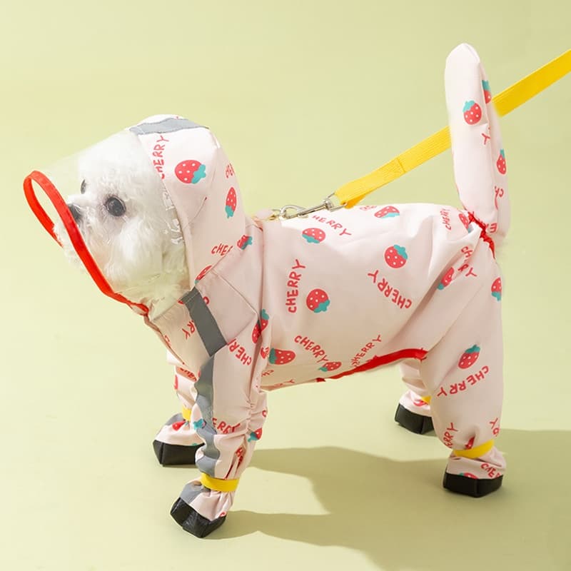 Teddy Bichon Medium- And Small-Breed Dog Rain Cape With Attached Feet