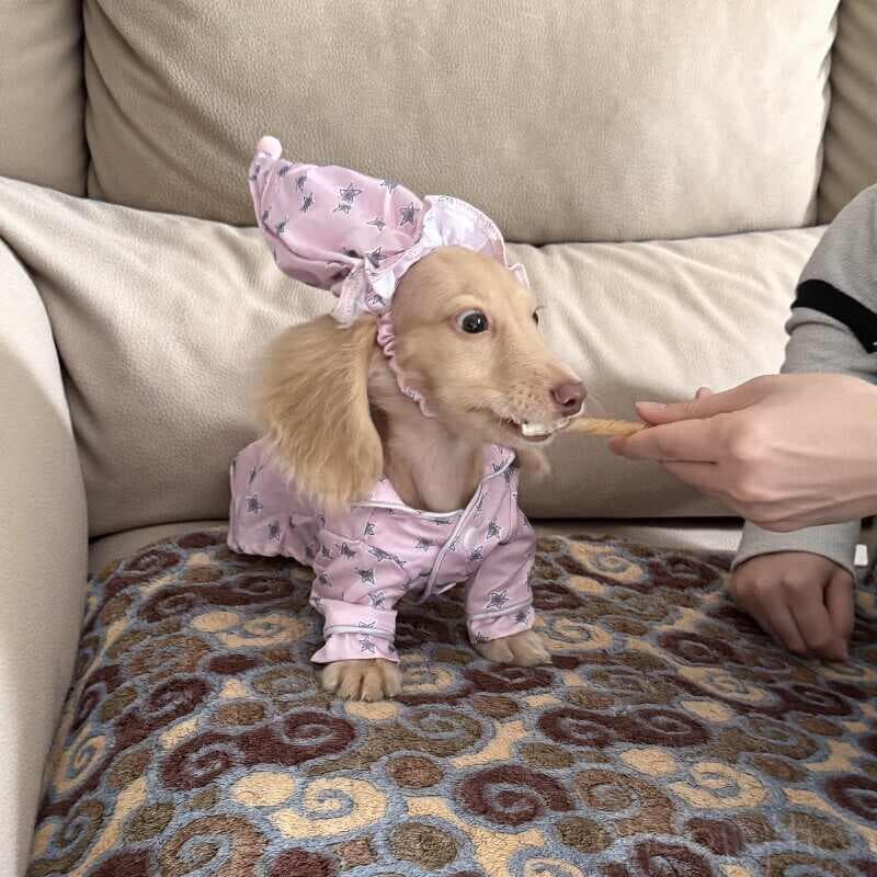 Pajamas And Dog Clothes Are Thin