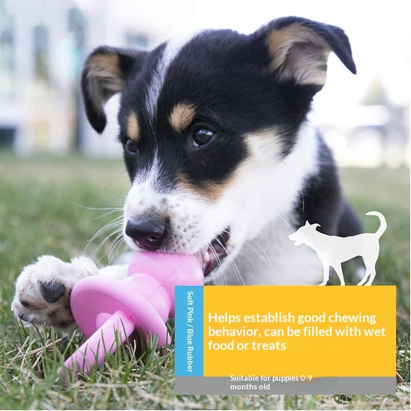 Teething Dog Toy For Small And Medium-sized Dogs