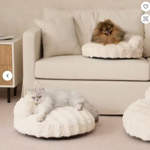 Comfortable Plush Warm Round Cat Bed, Dog Bed, Machine Washable
